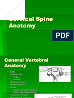 Cervicalspineanatomy