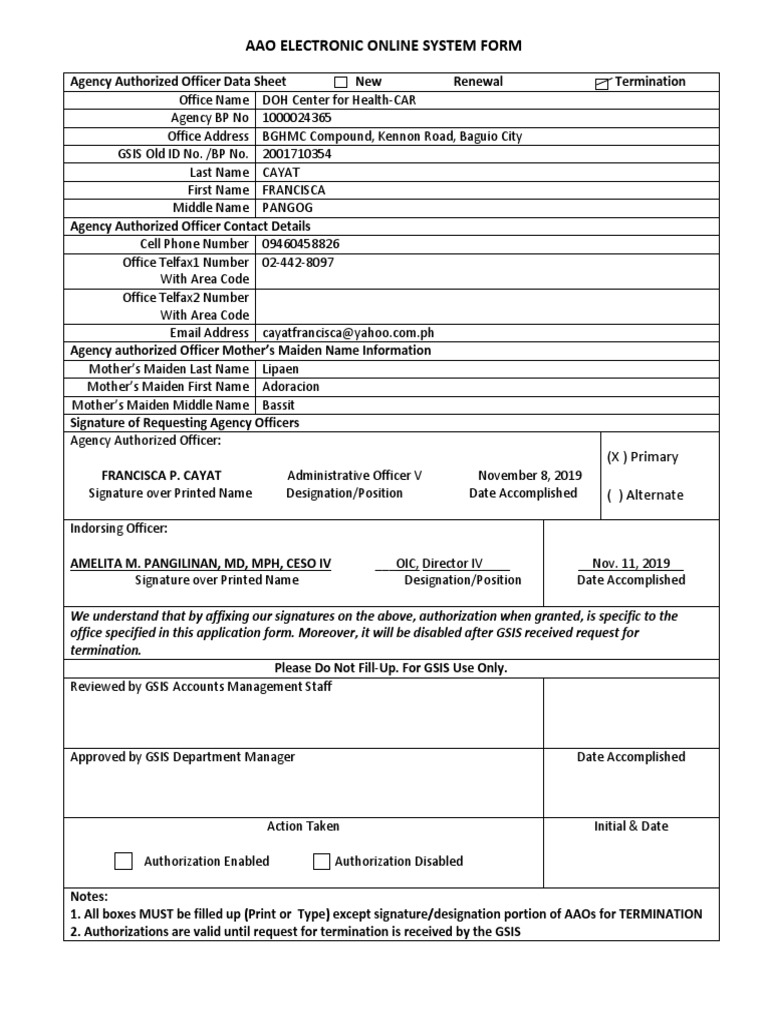 AAO Electronic Online System Form | PDF