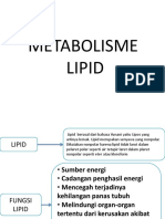 Metabolisme Lipid