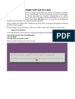 Manual para SAP GUI: Instalacion y Configuracion PDF