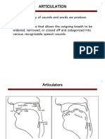 My Report About Articulation