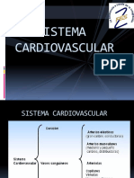 Sistema Cardiovascular