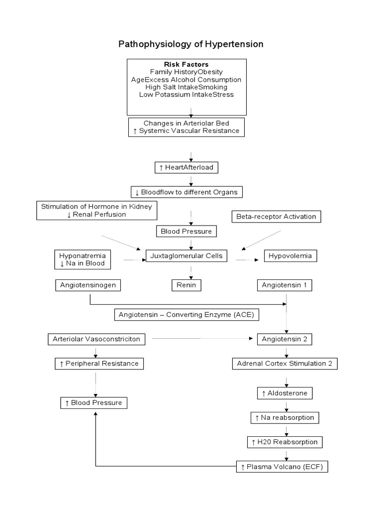 Pa Tho Physiology of Hypertension | PDF | Angiotensin | Hypertension