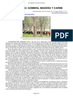 122 Algarrobo PDF