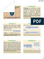 Determinantes PDF