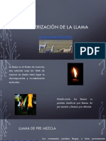 CARACTERIZACIÓN DE LA lLAMA.pptx
