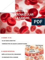 Anato y Fisio Sangre-1 (1) 2