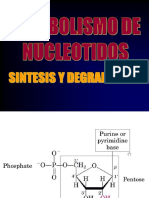 Biosintesis de Nucleotidos PDF
