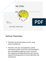 Plastisits Otak