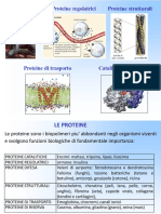 Proteine LIM PDF