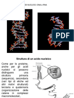 Dna Rna PDF