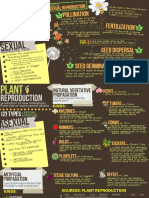 Earthsci Infographic