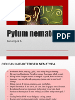 Pylum Nematoda PPT KEL 6