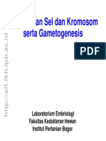 02. Pembelahan Sel dan Kromosom serta Gametogenesis 2011.pdf