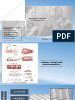 Contracción Muscular