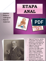 Etapa Anal