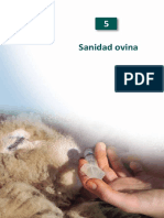 SANIDAD_OVINO-CHILE.pdf