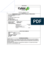 Cybor-10EA_Ficha-Técnica.pdf