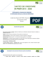 04 Oportunități de Creditare PNDR BV PDF