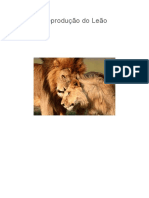 Reprodução do Leão: Características e Comportamento