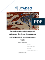 Elementos Metodológicos para La Valoración Del Riesgo de Desastres Convergentes en Centros Urbanos PDF