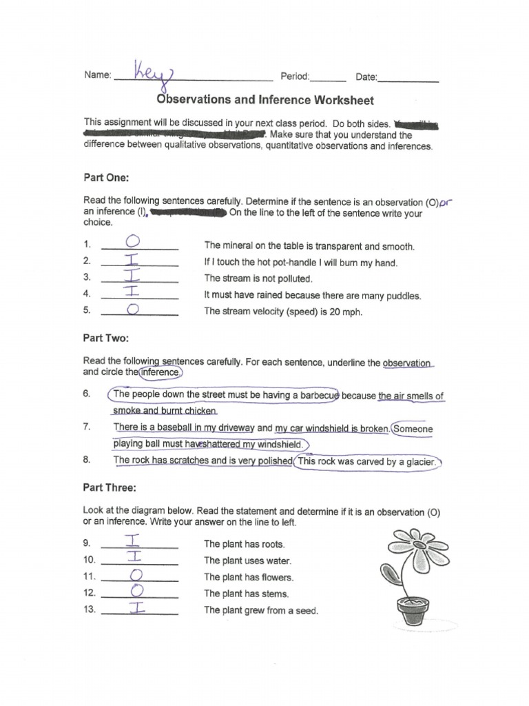 Observations and Inferences Practice Packet Key  PDF With Regard To Observation Vs Inference Worksheet