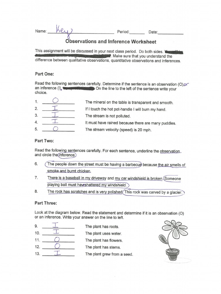 Observations and Inferences  Practice Packet Key  PDF In Observation Vs Inference Worksheet