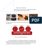 Capacitacion Tema Plagas-Cucaracha PDF