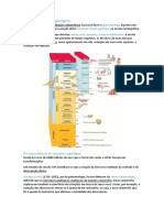 Memória Dos Tempos Geológicos