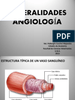 angio anato 1.pdf