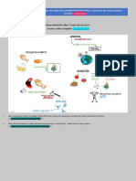 O Que São Enzimas PDF