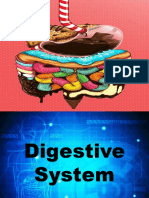 digestive system.pptx
