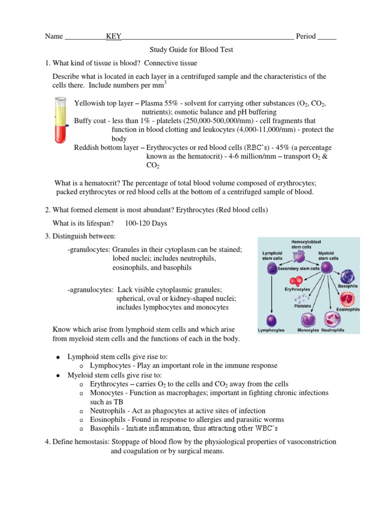 Blood Study Guide Key Pdf | Pdf | Coagulation | Blood Type