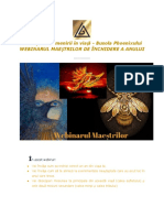 Busola Phoenixului - Mapa Webinarului PDF