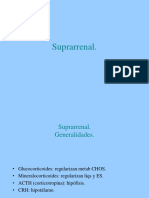 Suprarrenal