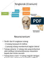 Anatomi Cranium