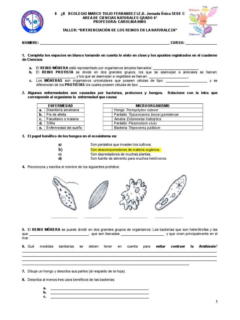 Taller REINOS Mónera, Protista y Fungi | PDF | Microbiología | Biología