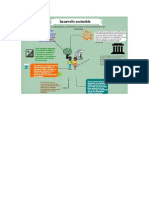 QUIZ Macroeconomia