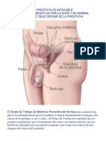 LA PRÓSTATA ES INTOCABLE.docx