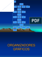 ORGANIZADORES GRAFICOS.pptx