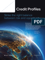 Ishka CreditProfiles Brochure2