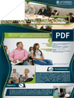 3 Plegable Maestria en Control Organizacional 1.1 PDF