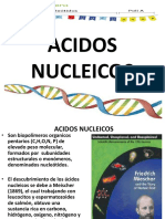 CLASE DE ACIDOS NUCLEICOS.pptx