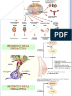 taller - copia.pptx