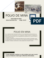 Polvos de Mina