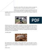 ANIMALES.docx