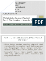 ANATOMI SISTEM INDERA.pptx