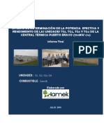 Informe EPEyR CT Puerto Bravo PDF