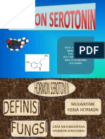 Hormon Serotonin