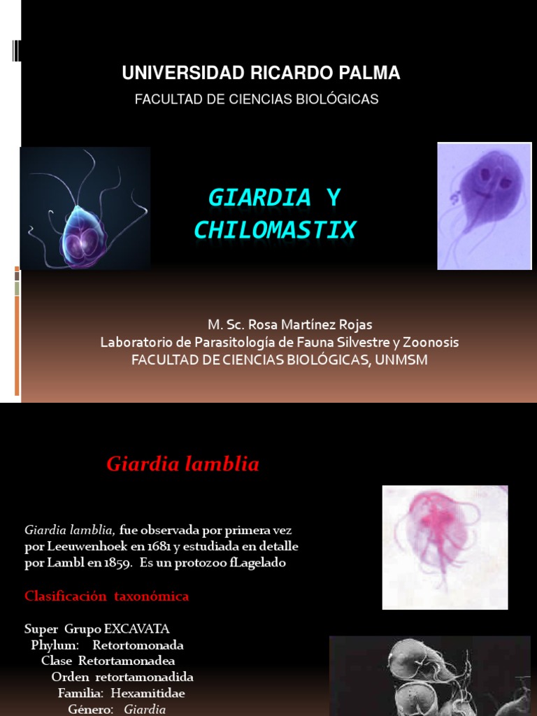 Milyen betegség a giardiasis? Giardia como zoonosis